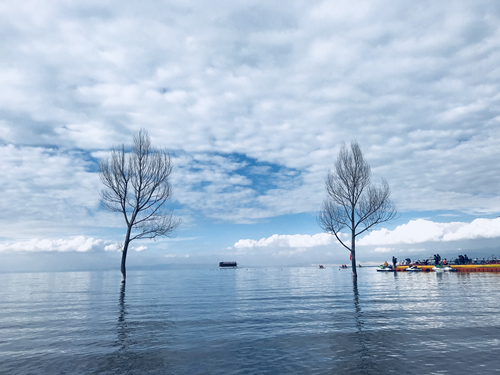 1631084527179928.jpg 1631084527179928.jpg