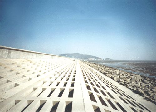 臺州發(fā)電廠六號灰?guī)旎覊喂こ?/>
					      <p><a href=